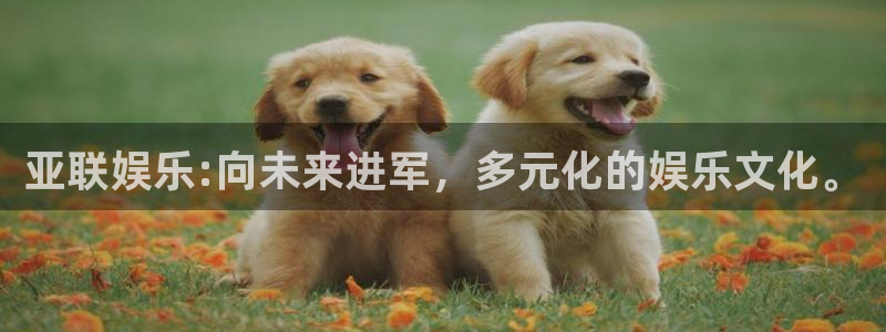 乐天堂fun4：亚联娱乐:向未来进军，多元化的娱乐文化。