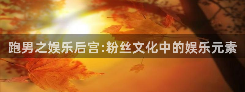 乐天堂fun能源：跑男之娱乐后宫:粉丝文化中的娱乐元素