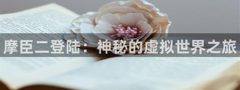 成都乐天堂fun电子有限公司：摩臣二登陆：神秘的虚拟世界之旅