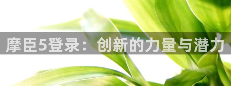 佛山市南海乐天堂fun机电仪器有限公司：摩臣5登录：创新的力量与潜力