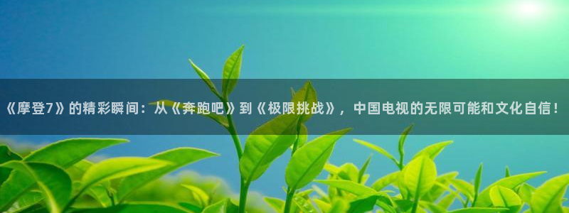 乐天堂fun登录界面入口：《摩登7》的精彩瞬间：从《奔跑吧》到《极限挑战》，中国