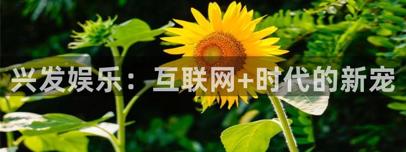 乐天堂funkgame：兴发娱乐：互联网+时代的新宠