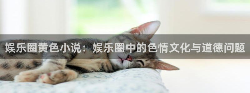 乐天堂fun3登陆：娱乐圈黄色小说：娱乐圈中的色情文化与道德问题