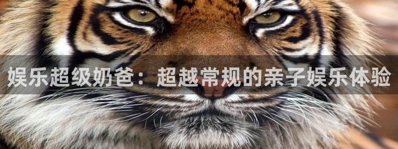 乐天堂fun平台总代理：娱乐超级奶爸：超越常规的亲子娱乐体验