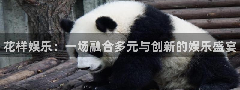 乐天堂fun招商：花样娱乐：一场融合多元与创新的娱乐盛宴