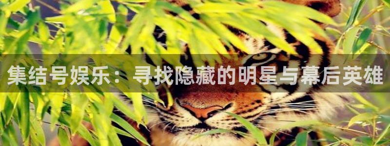 乐天堂fun电子有限公司：集结号娱乐：寻找隐藏的明星与幕后英雄