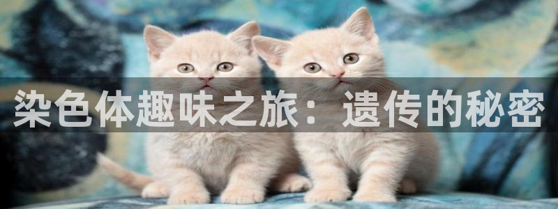 乐天堂fun体育老板是谁：染色体趣味之旅：遗传的秘密