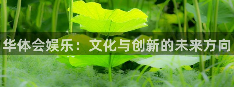 乐天堂fun体育1招商：华体会娱乐：文化与创新的未来方向