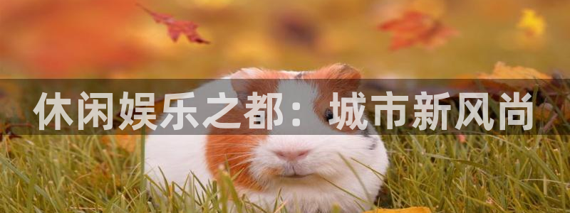 乐天堂fun平台注册：休闲娱乐之都：城市新风尚