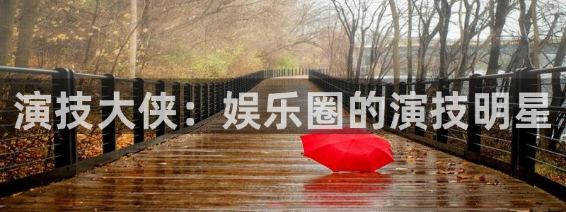 乐天堂fun3官网：演技大侠：娱乐圈的演技明星