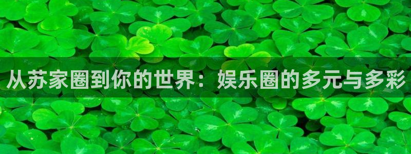 乐天堂fun3登陆：从苏家圈到你的世界：娱乐圈的多元与多彩