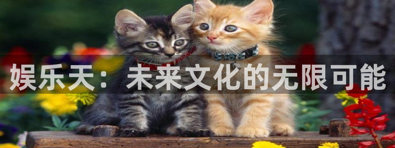 乐天堂fun体育凯捷代理注册：娱乐天：未来文化的无限可能