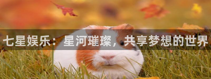 乐天堂fun4平台注册：七星娱乐：星河璀璨，共享梦想的世界